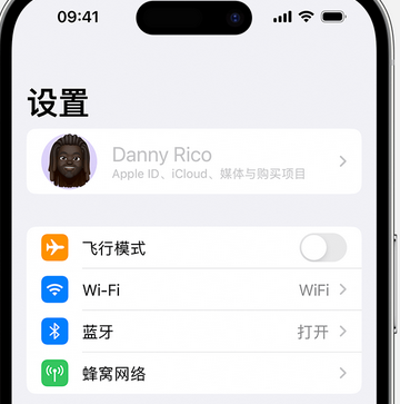 巍山appleID维修服务iPhone设置中Apple ID显示为灰色无法使用