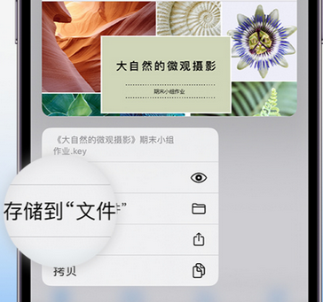 巍山apple维修中心分享iPhone文件应用中存储和找到下载文件