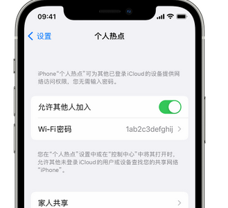 巍山apple服务站点分享iPhone上个人热点丢失了怎么办