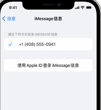 巍山apple维修iPhone上无法正常发送iMessage信息 