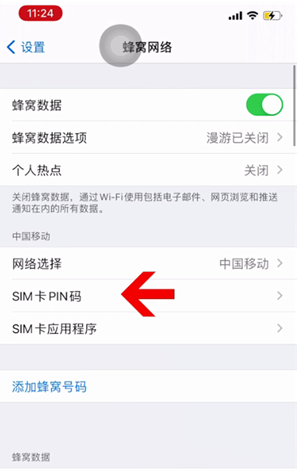 巍山苹果14维修网分享如何给iPhone14的SIM卡设置密码 