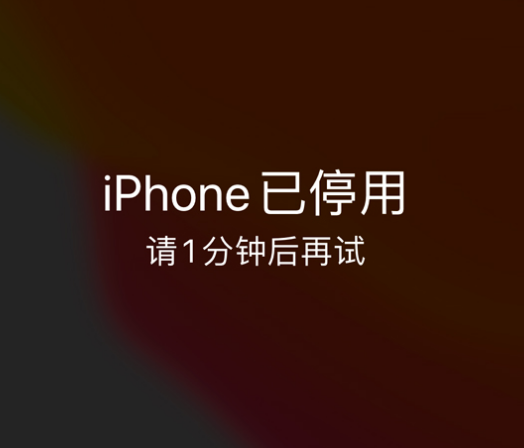 巍山苹果手机维修分享:iPhone 显示“不可用”或“已停用”怎么办？还能保留数据吗？ 