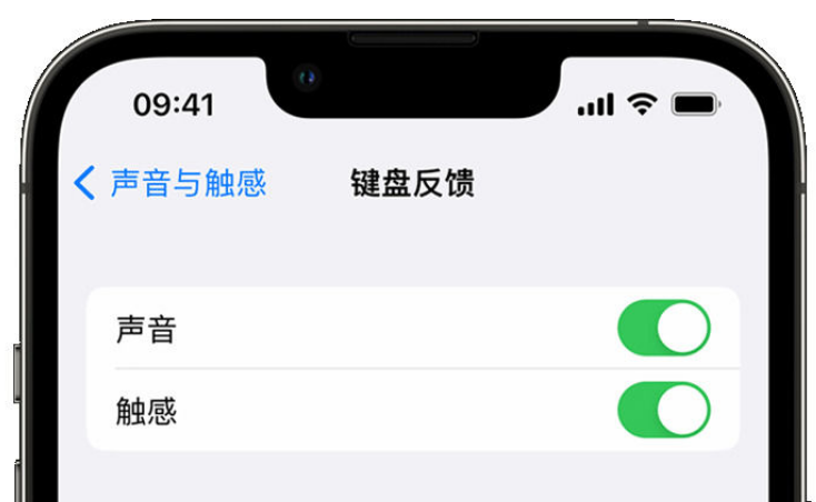 巍山苹果手机维修分享iPhone 14触感键盘使用方法 