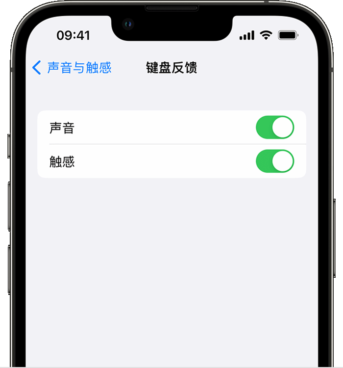 巍山苹果14维修店分享如何在 iPhone 14 机型中使用触感键盘 