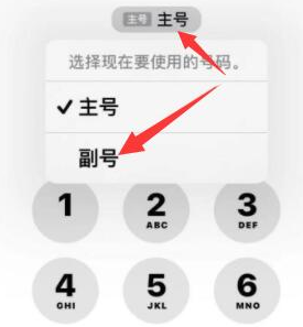 巍山苹果14维修店分享iPhone 14 Pro Max使用副卡打电话的方法 