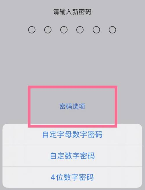 巍山苹果14维修分享iPhone 14plus设置密码的方法 