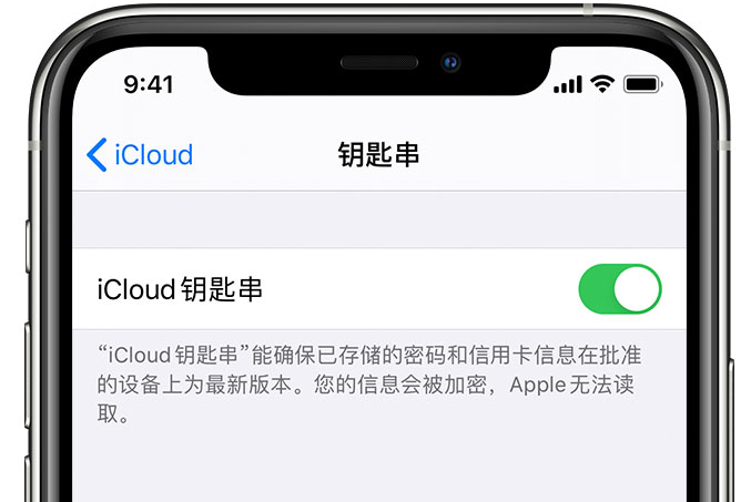 巍山苹果手机维修分享在 iPhone 上开启 iCloud 钥匙串之后会储存哪些信息 