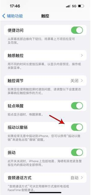 巍山苹果手机维修分享iPhone手机如何设置摇一摇删除文字 