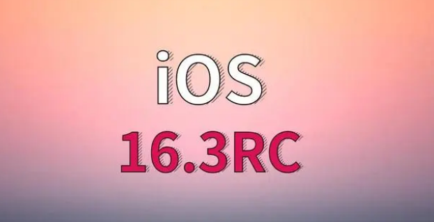 巍山苹果手机维修分享iOS 16.3 RC版升级_iOS 16.3 RC版一键刷机教程 